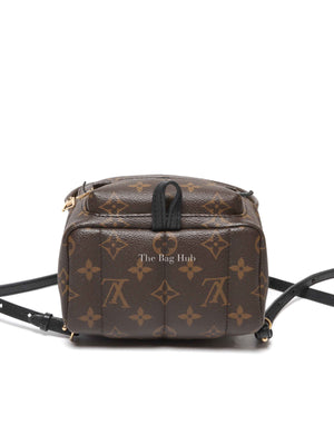 Louis Vuitton Monogram Canvas Mini Palm Springs Backpack