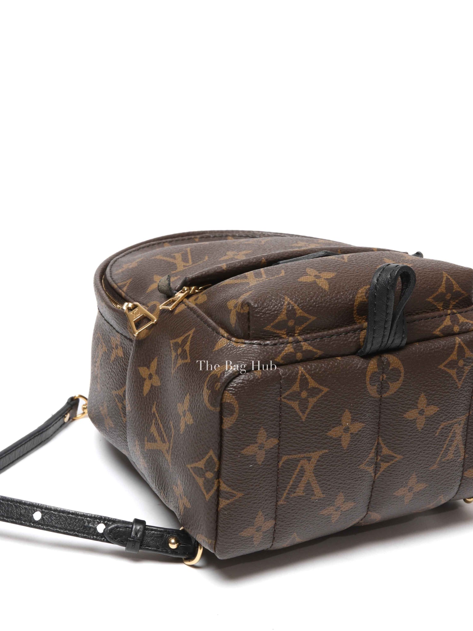 Louis Vuitton Monogram Canvas Mini Palm Springs Backpack