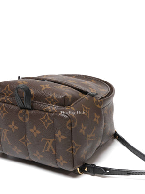Louis Vuitton Monogram Canvas Mini Palm Springs Backpack