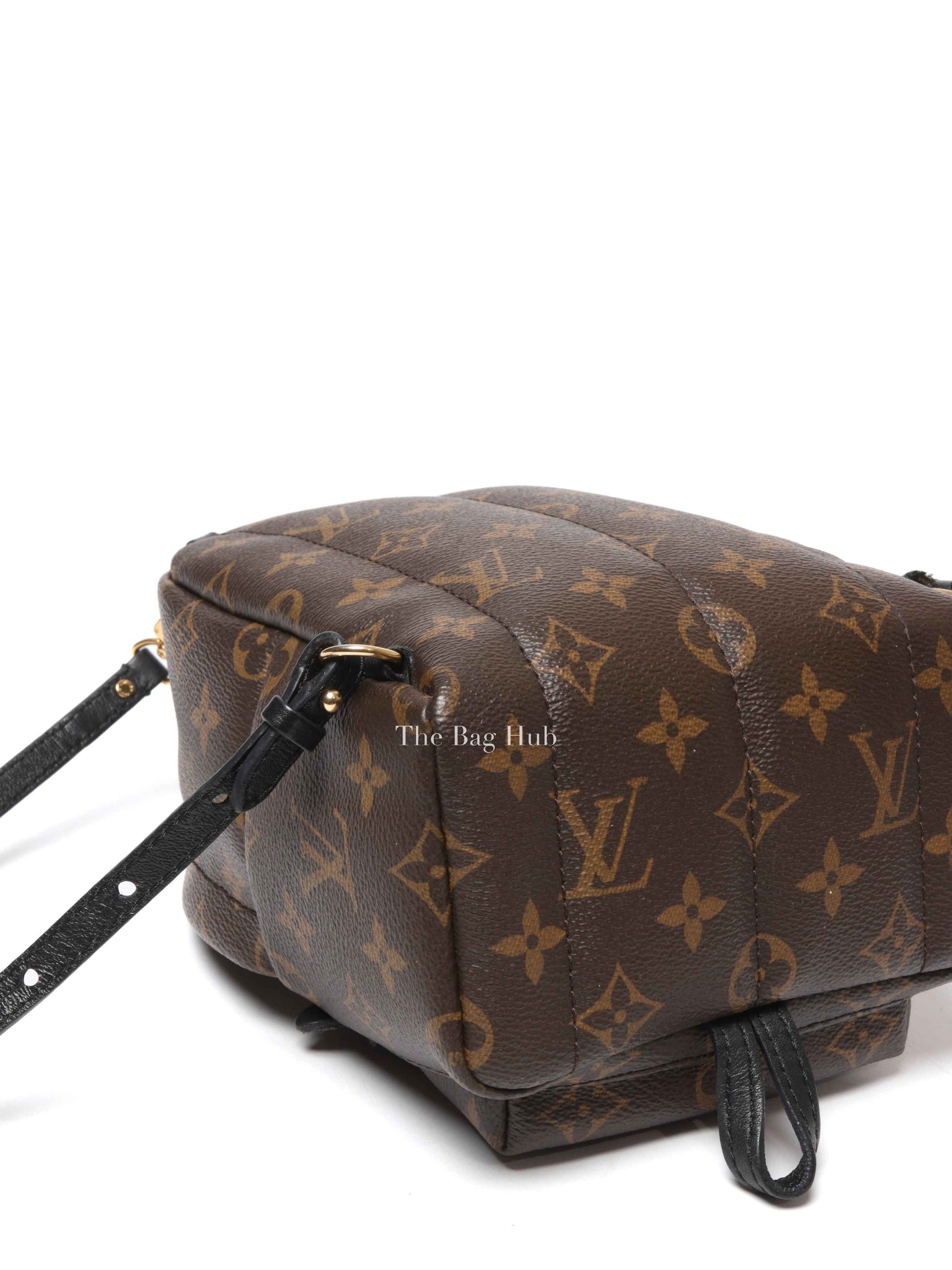 Louis Vuitton Monogram Canvas Mini Palm Springs Backpack