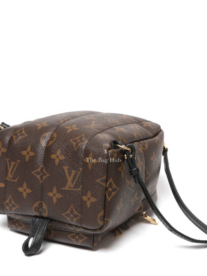 Louis Vuitton Monogram Canvas Mini Palm Springs Backpack