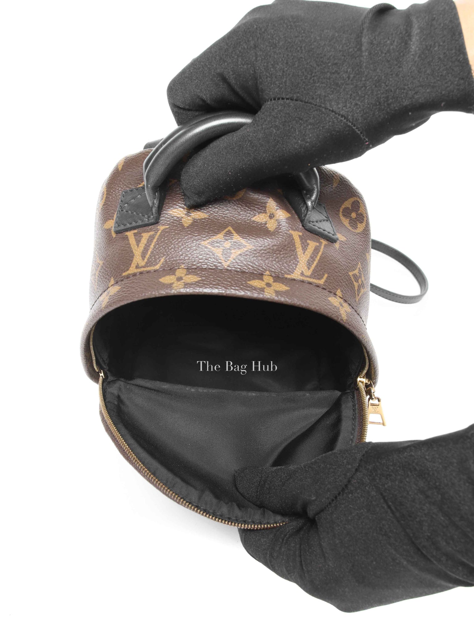 Louis Vuitton Monogram Canvas Mini Palm Springs Backpack