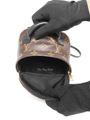 Louis Vuitton Monogram Canvas Mini Palm Springs Backpack