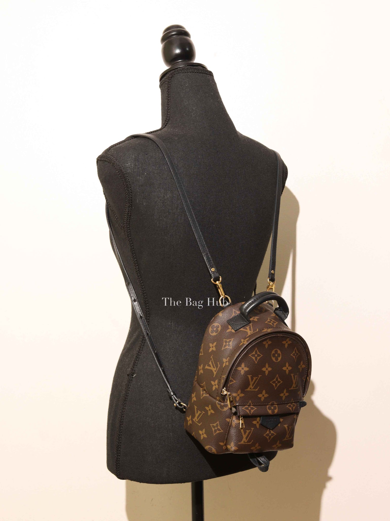 Louis Vuitton Monogram Canvas Mini Palm Springs Backpack