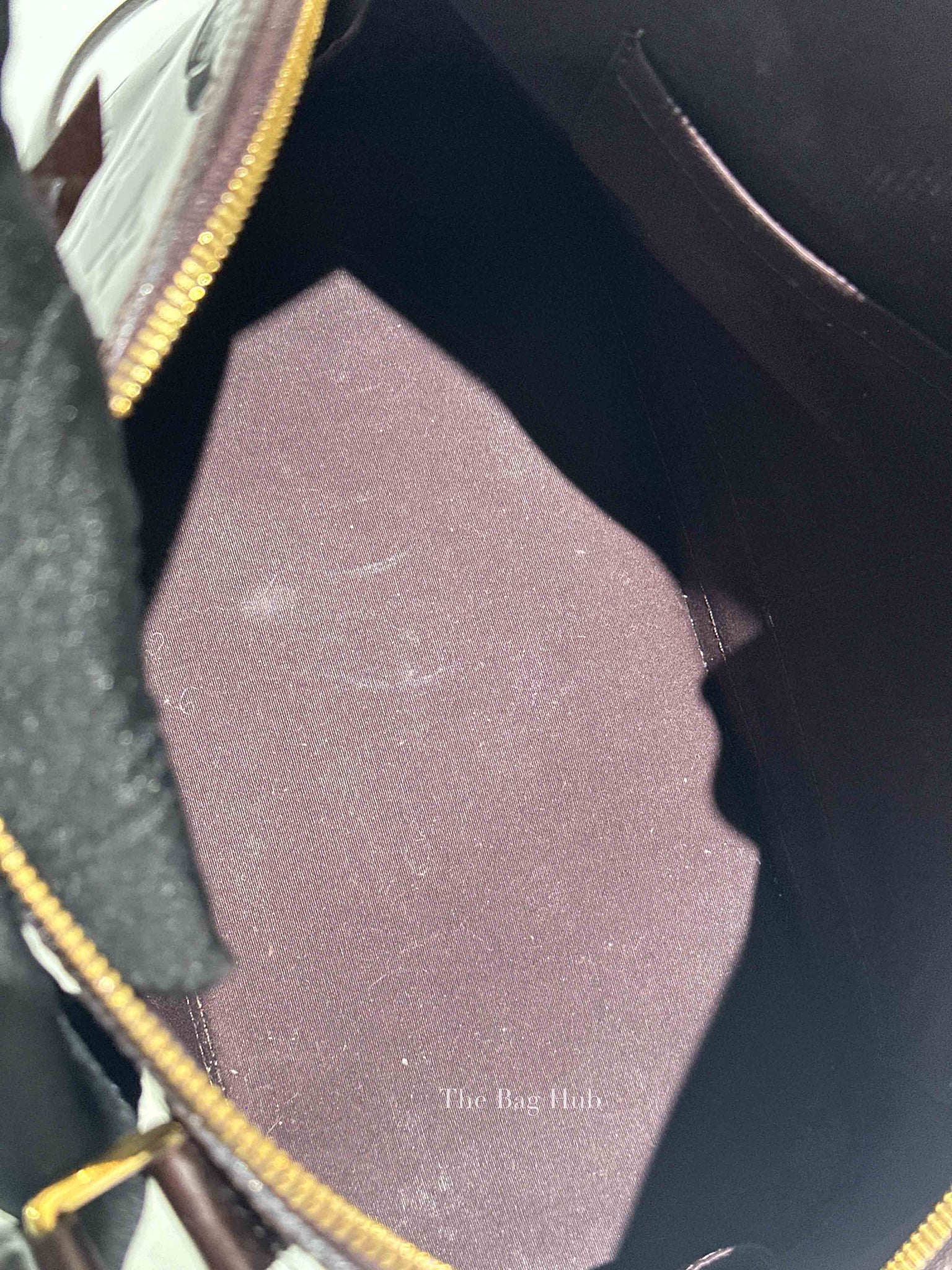 Louis Vuitton Amarante Monogram Vernis Alma PM Bag