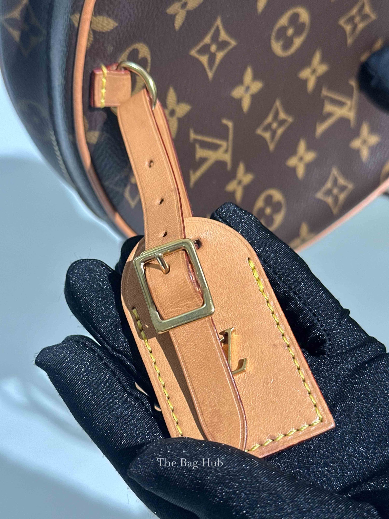 Louis Vuitton Monogram Boite Chapeau Souple Bag