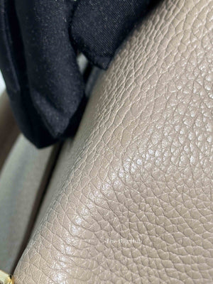 Louis Vuitton Galet Taurillon Leather Volta Bag