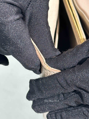 Louis Vuitton Galet Taurillon Leather Volta Bag