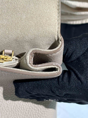 Louis Vuitton Galet Taurillon Leather Volta Bag
