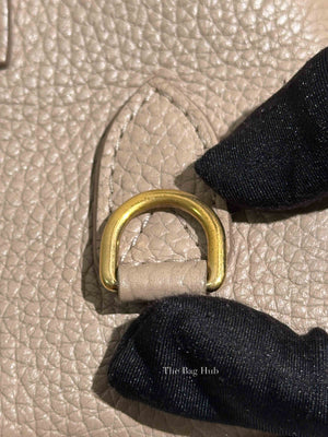 Louis Vuitton Galet Taurillon Leather Volta Bag