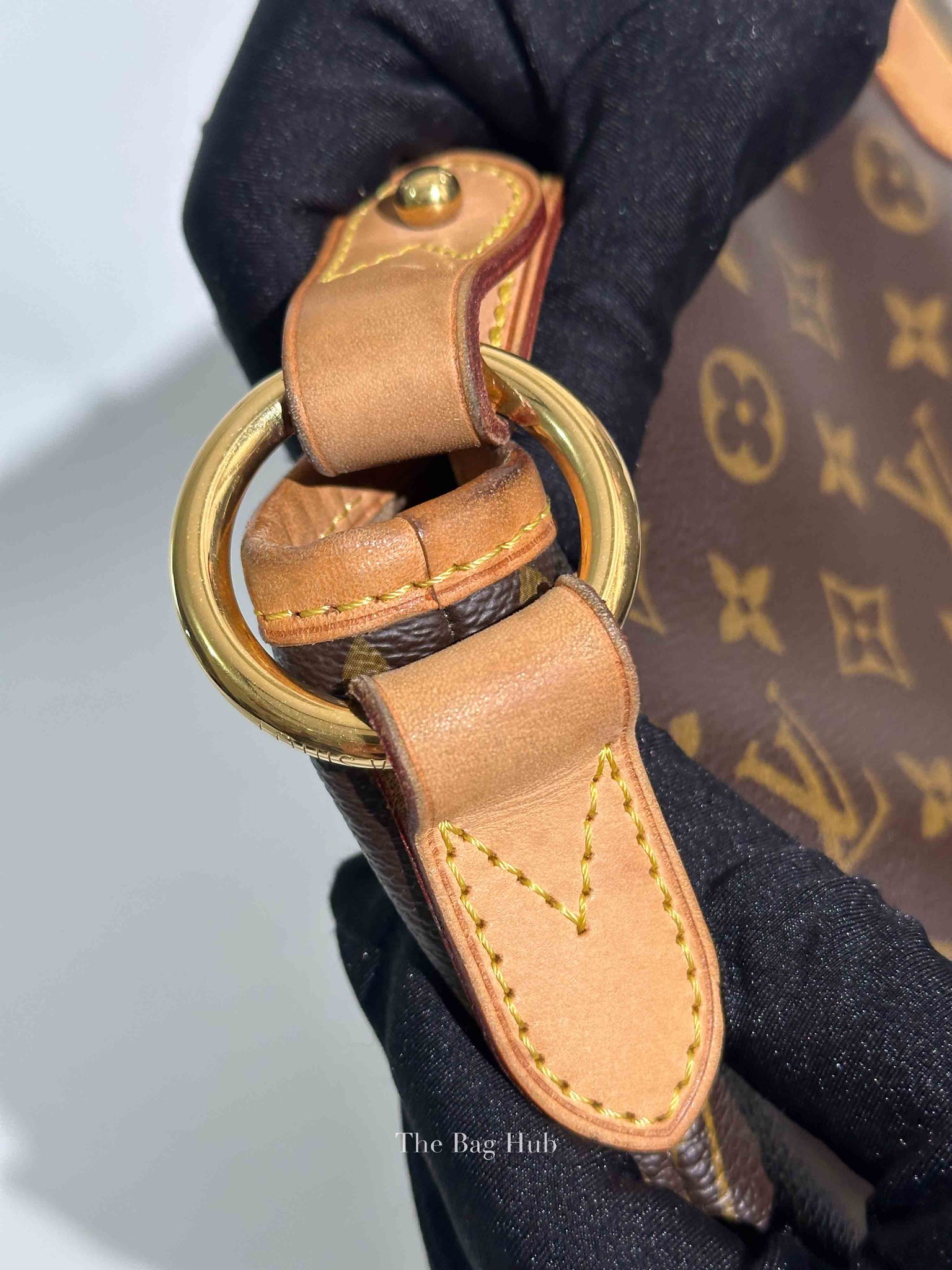 Louis Vuitton Monogram Canvas Delightful MM Bag