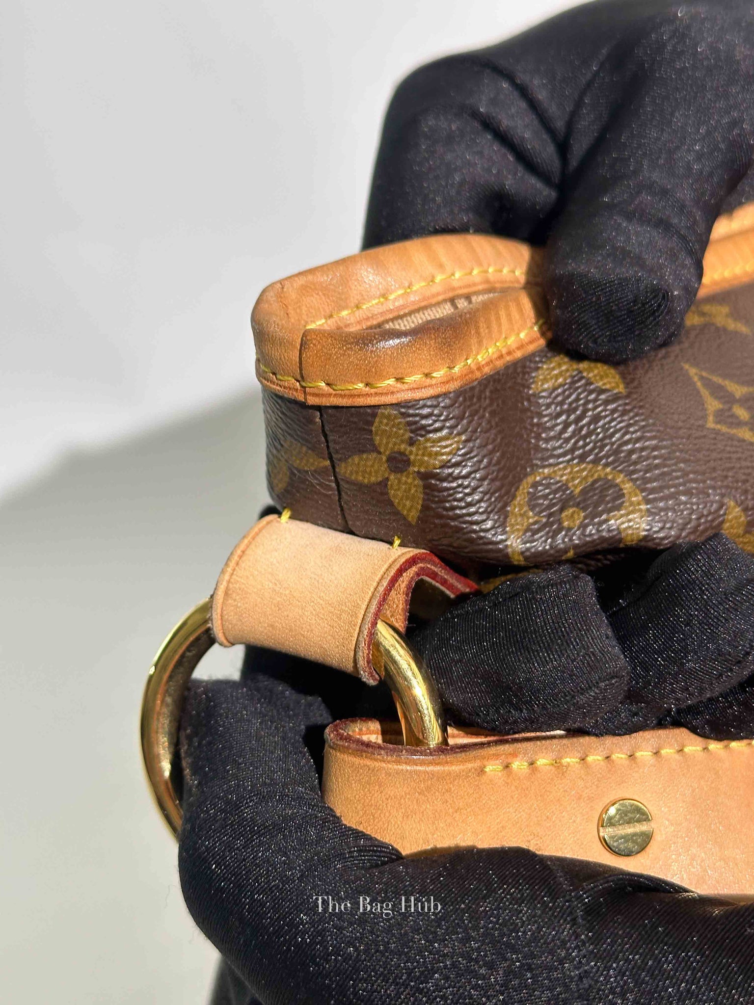 Louis Vuitton Monogram Canvas Delightful MM Bag