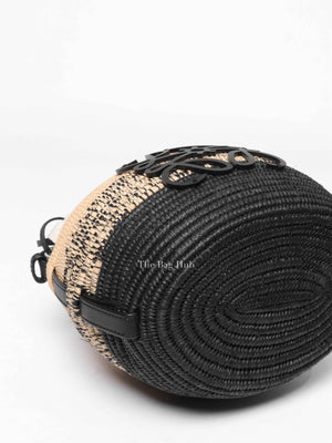 Loewe Black/Natural Raffia Beehive Basket Degrade Bag