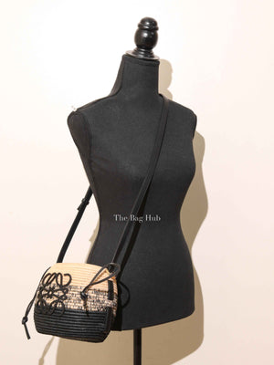 Loewe Black/Natural Raffia Beehive Basket Degrade Bag