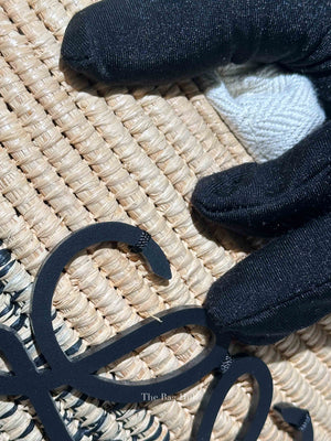 Loewe Black/Natural Raffia Beehive Basket Degrade Bag