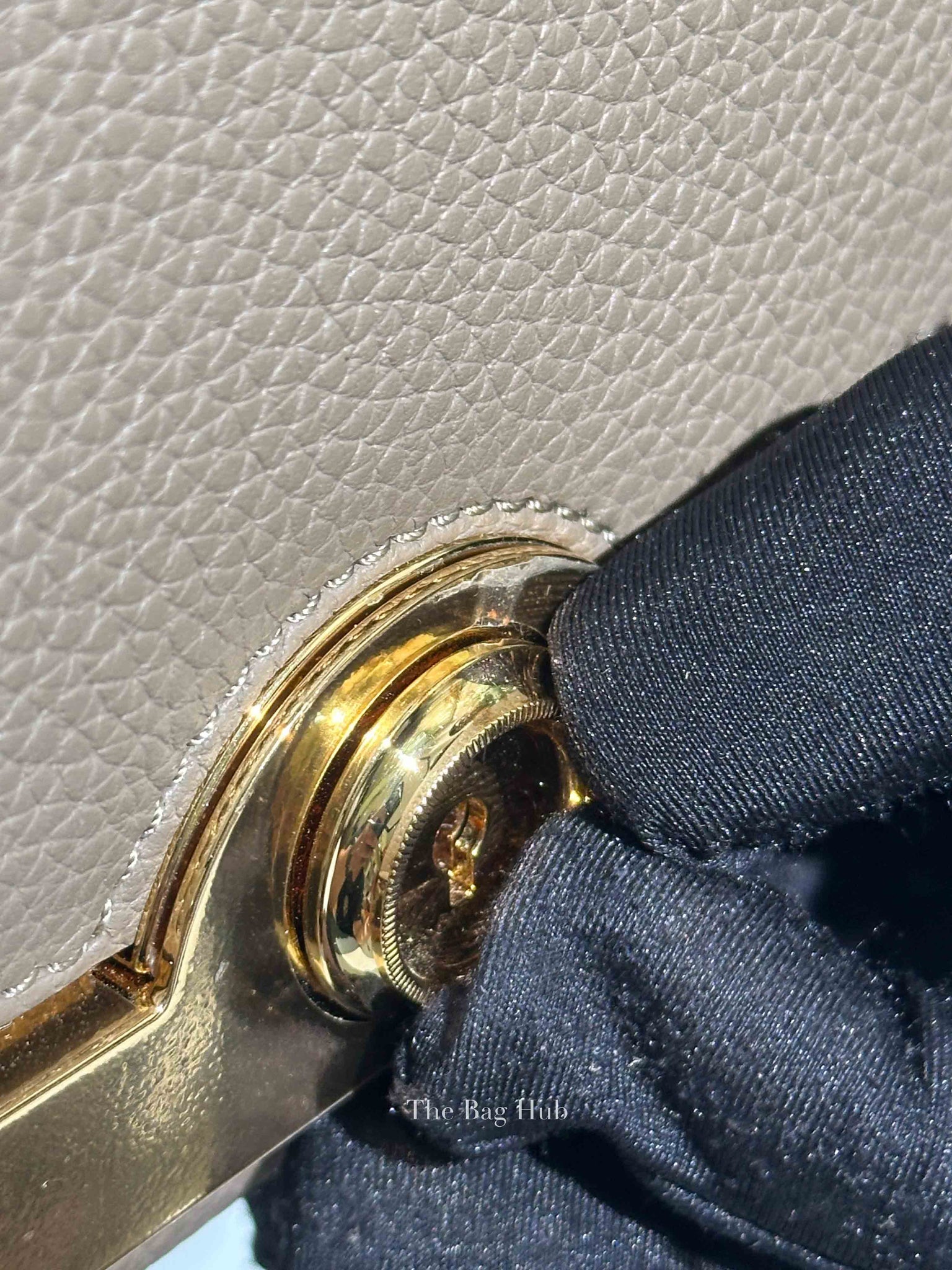 Moynat Tourterelle Taurillon Rejane PM Bag