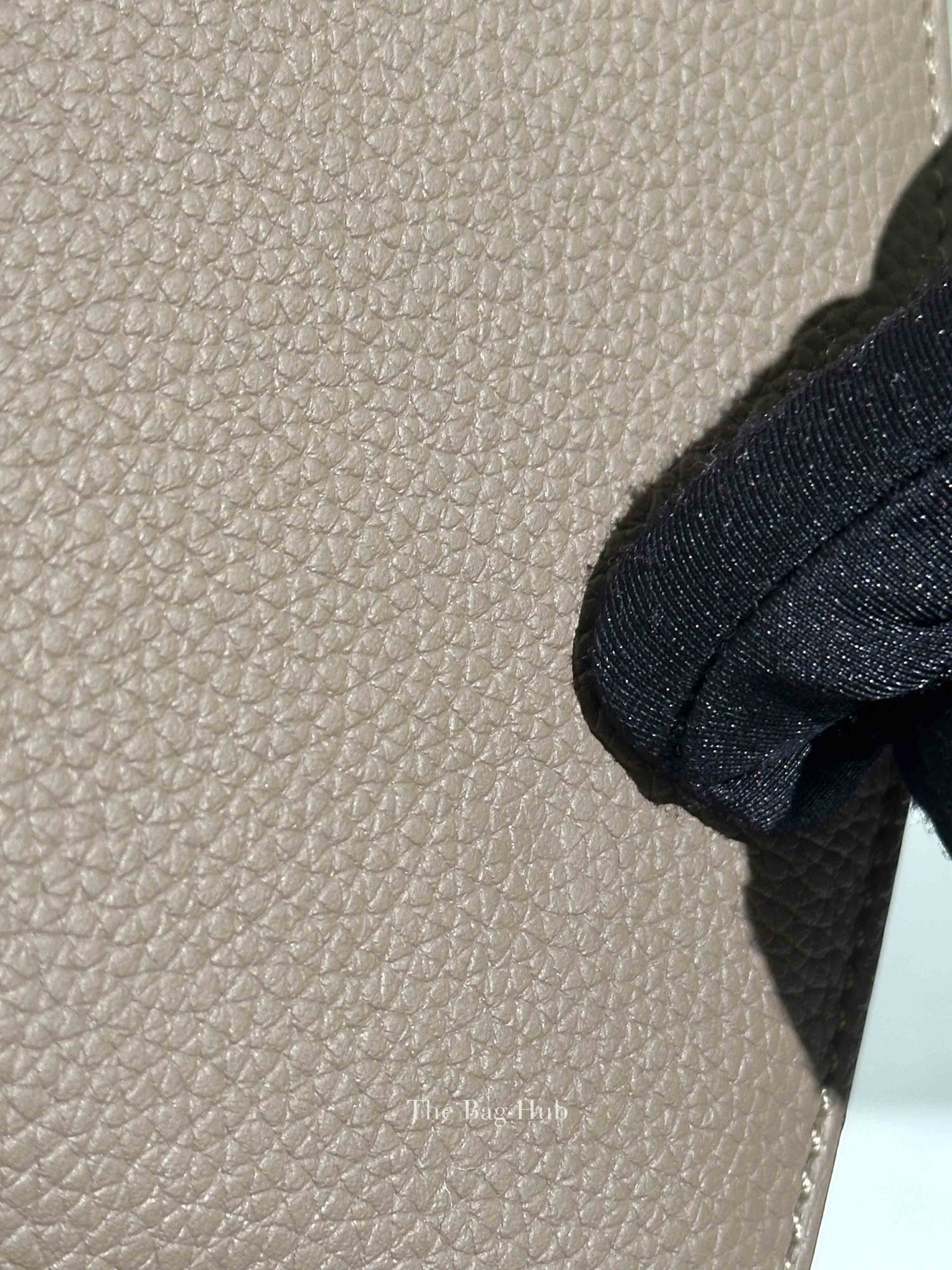 Moynat Tourterelle Taurillon Rejane PM Bag