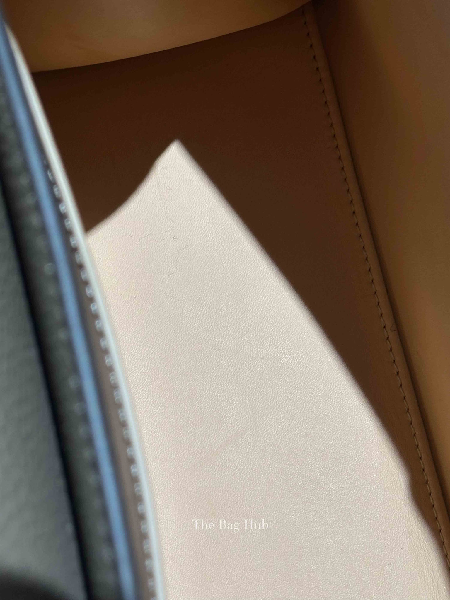 Moynat Tourterelle Taurillon Rejane PM Bag