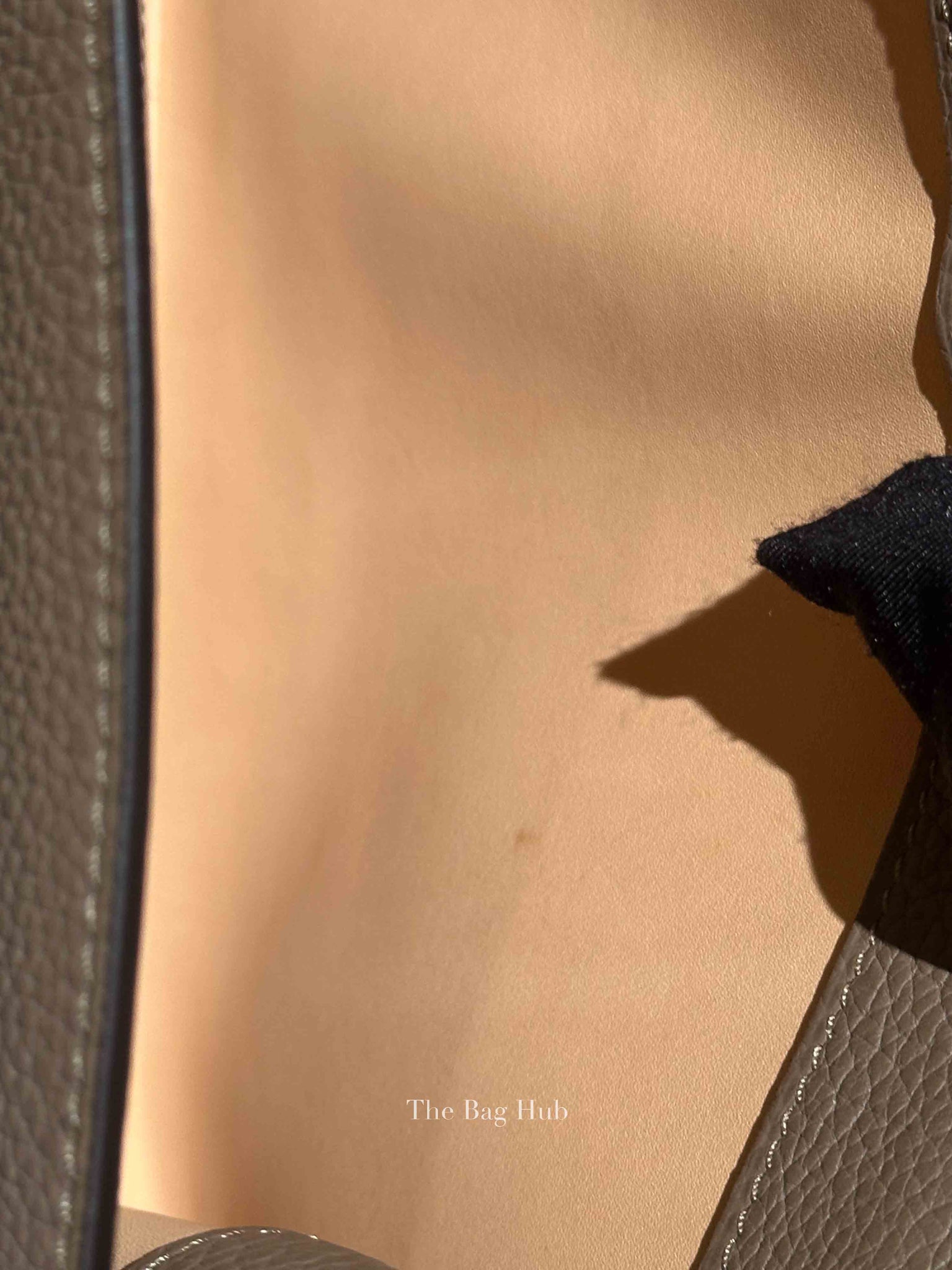 Moynat Tourterelle Taurillon Rejane PM Bag