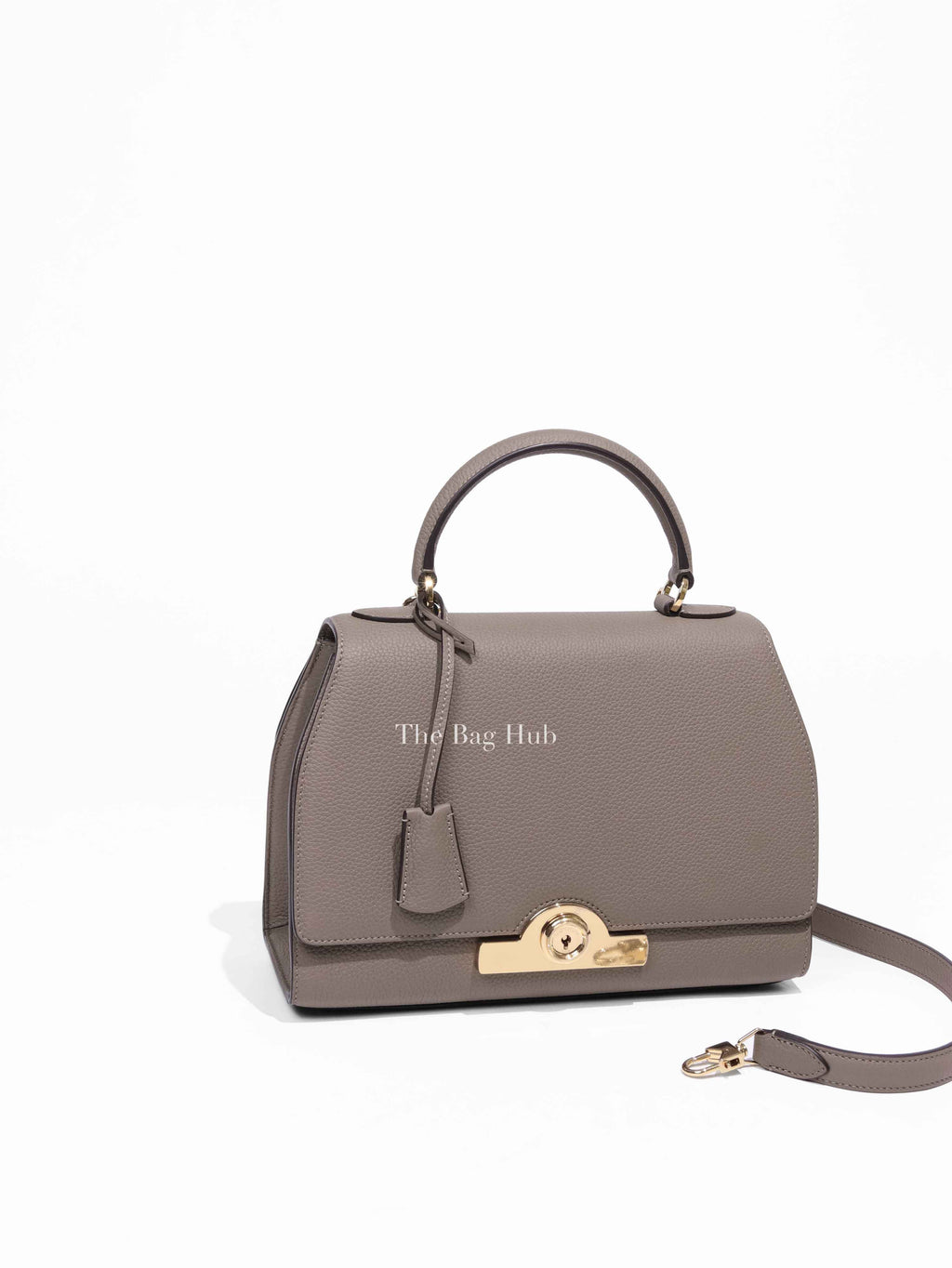 Moynat Tourterelle Taurillon Rejane PM Bag