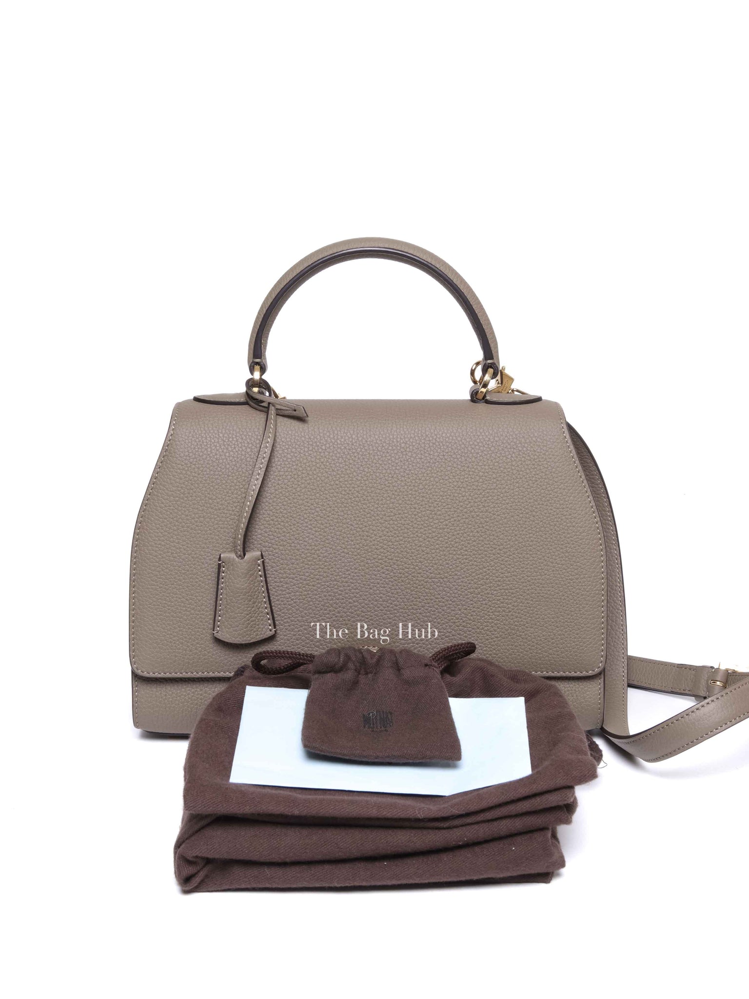 Moynat Tourterelle Taurillon Rejane PM Bag