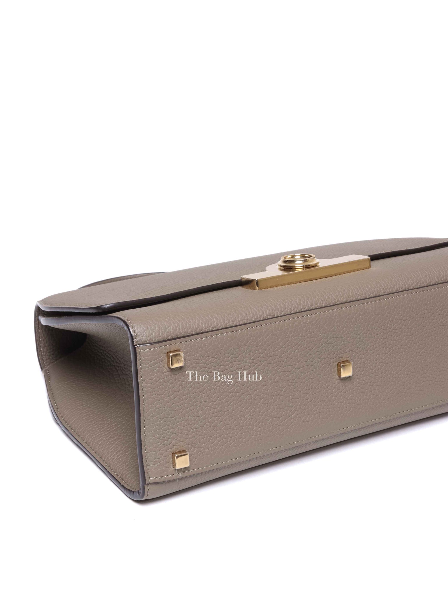 Moynat Tourterelle Taurillon Rejane PM Bag