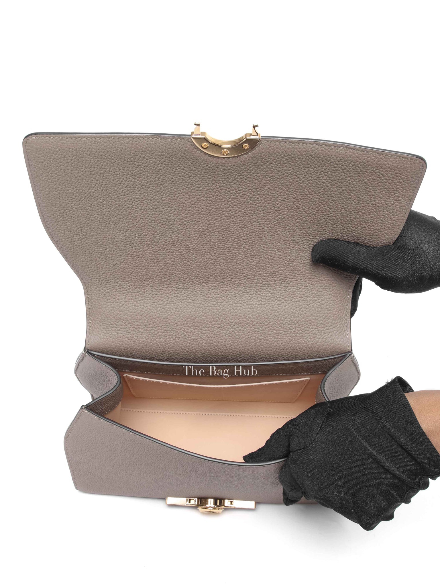 Moynat Tourterelle Taurillon Rejane PM Bag