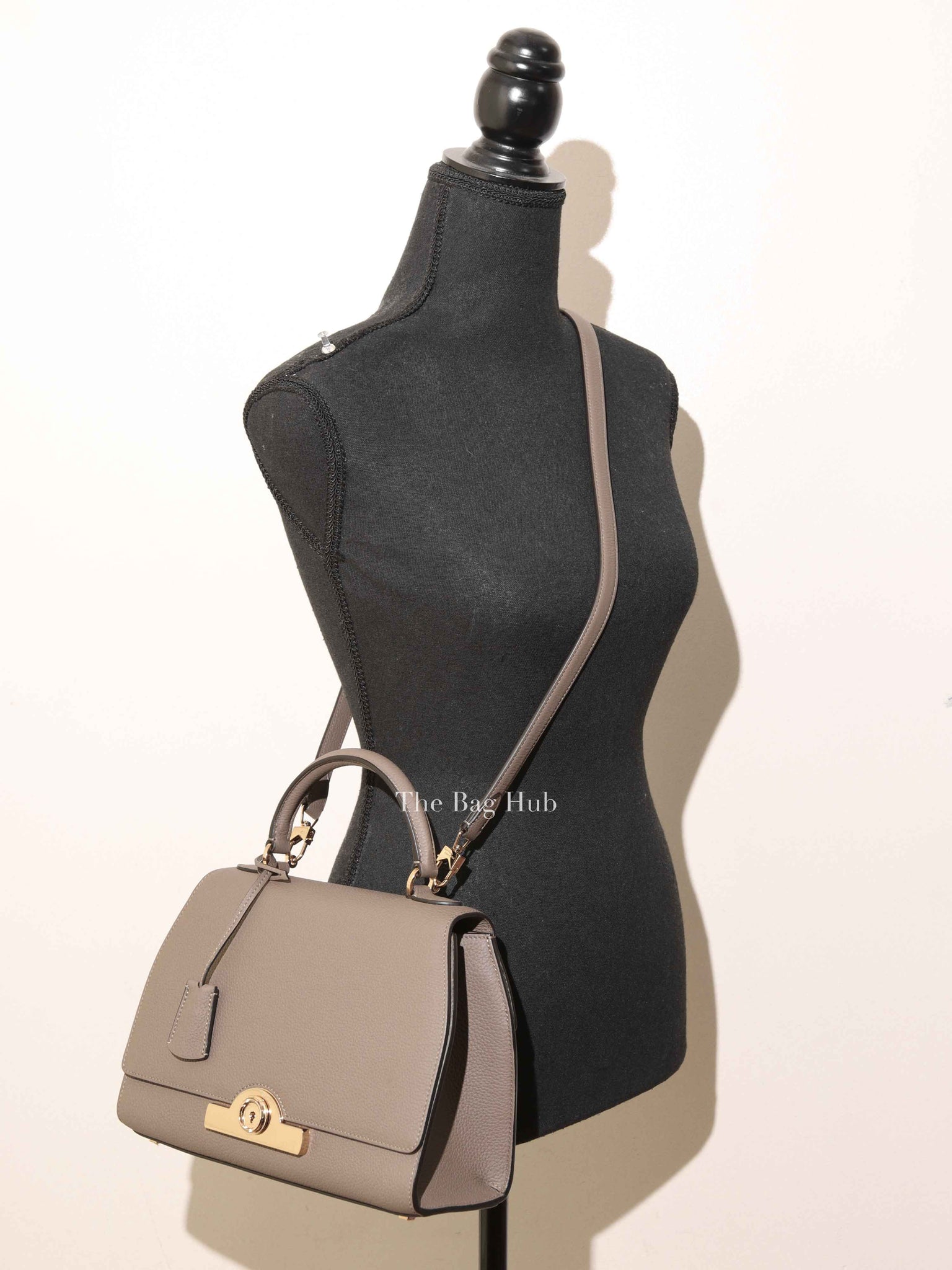 Moynat Tourterelle Taurillon Rejane PM Bag
