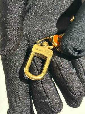 Louis Vuitton Multicolor Resin Pastilles Bag Charm and Key Holder