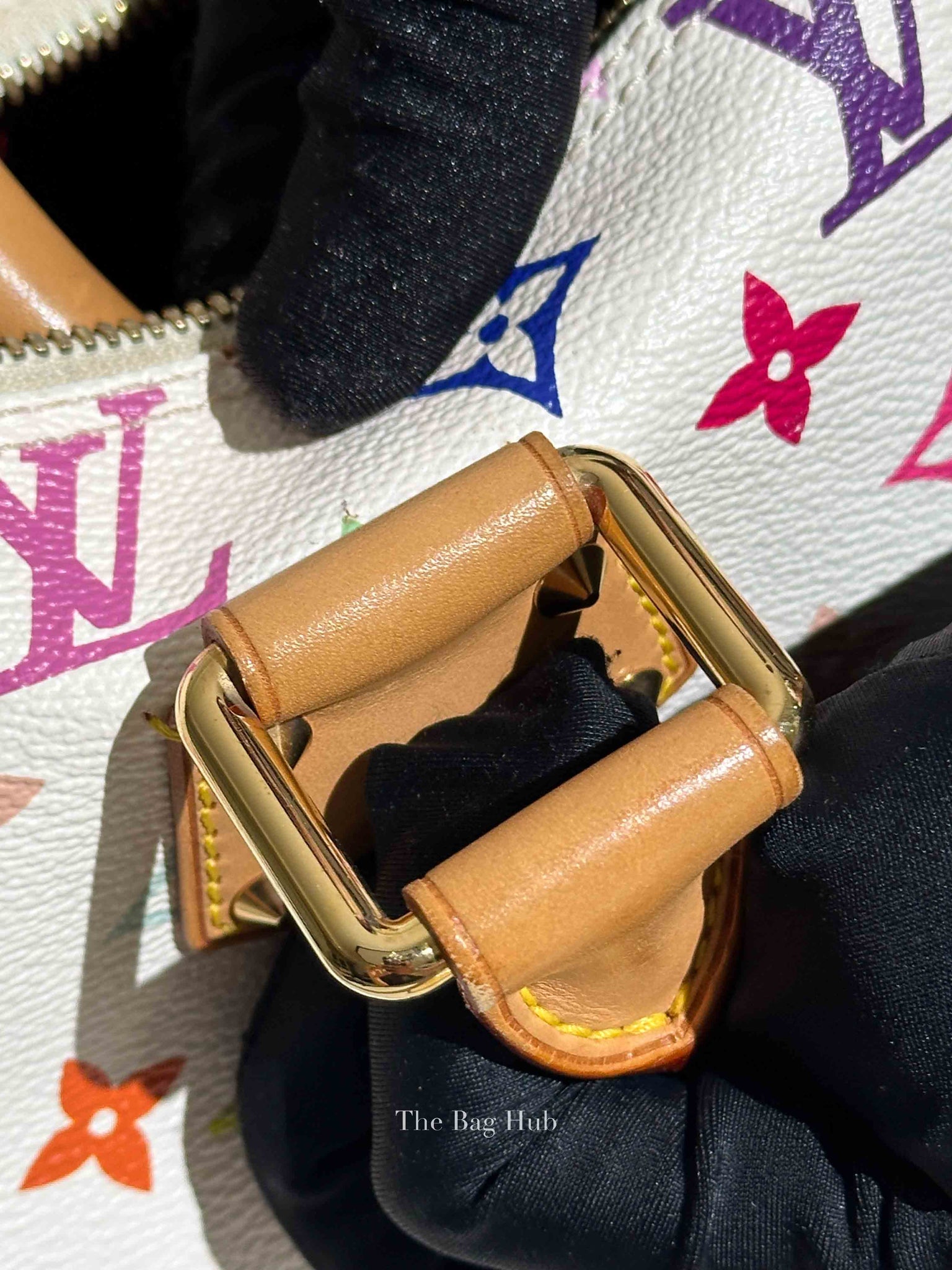 Louis Vuitton Multicolor Monogram Canvas Alma PM Bag