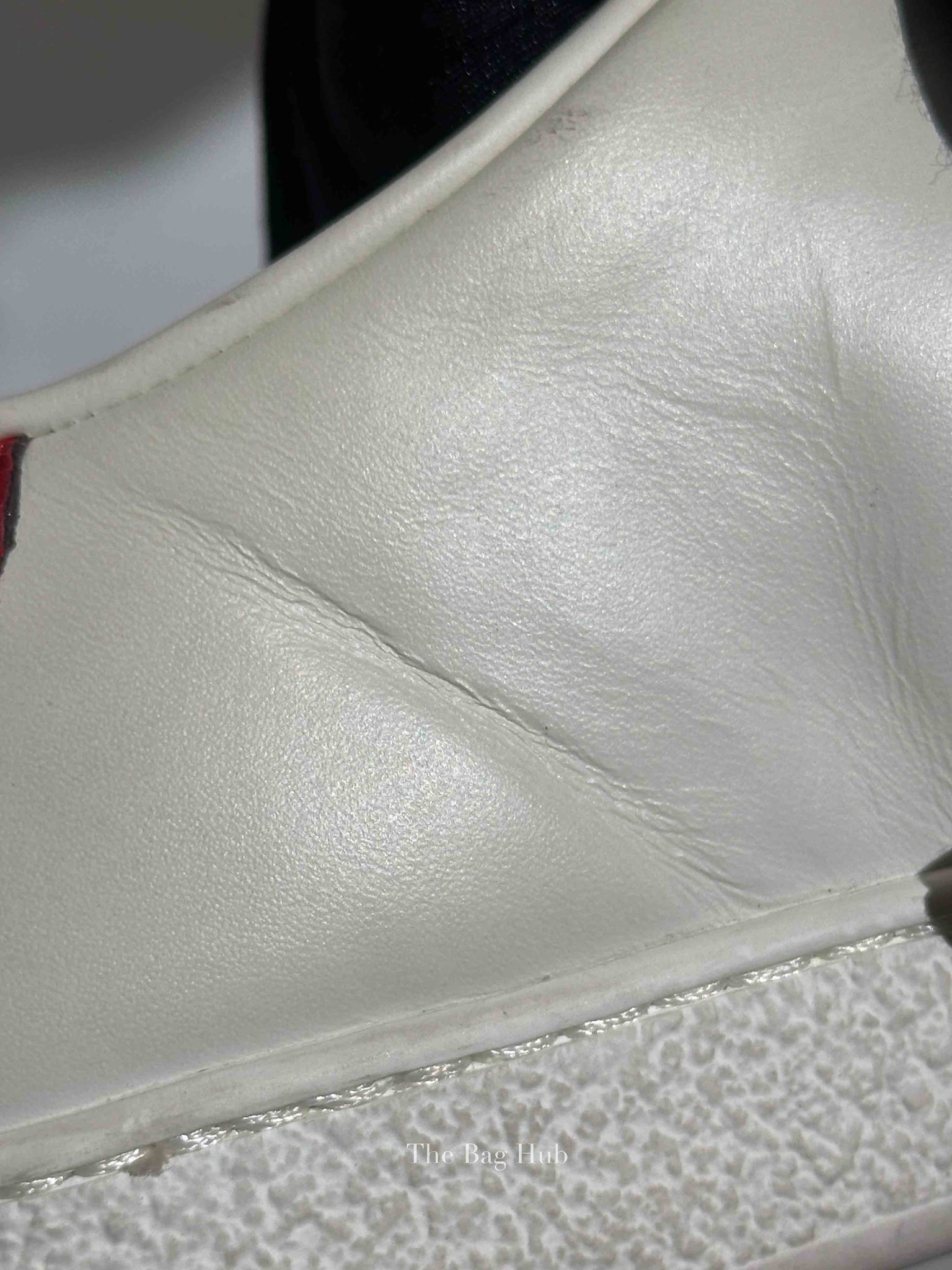 Gucci White Calfskin Floral Embroidered Women's Web Ace Sneakers Size 35