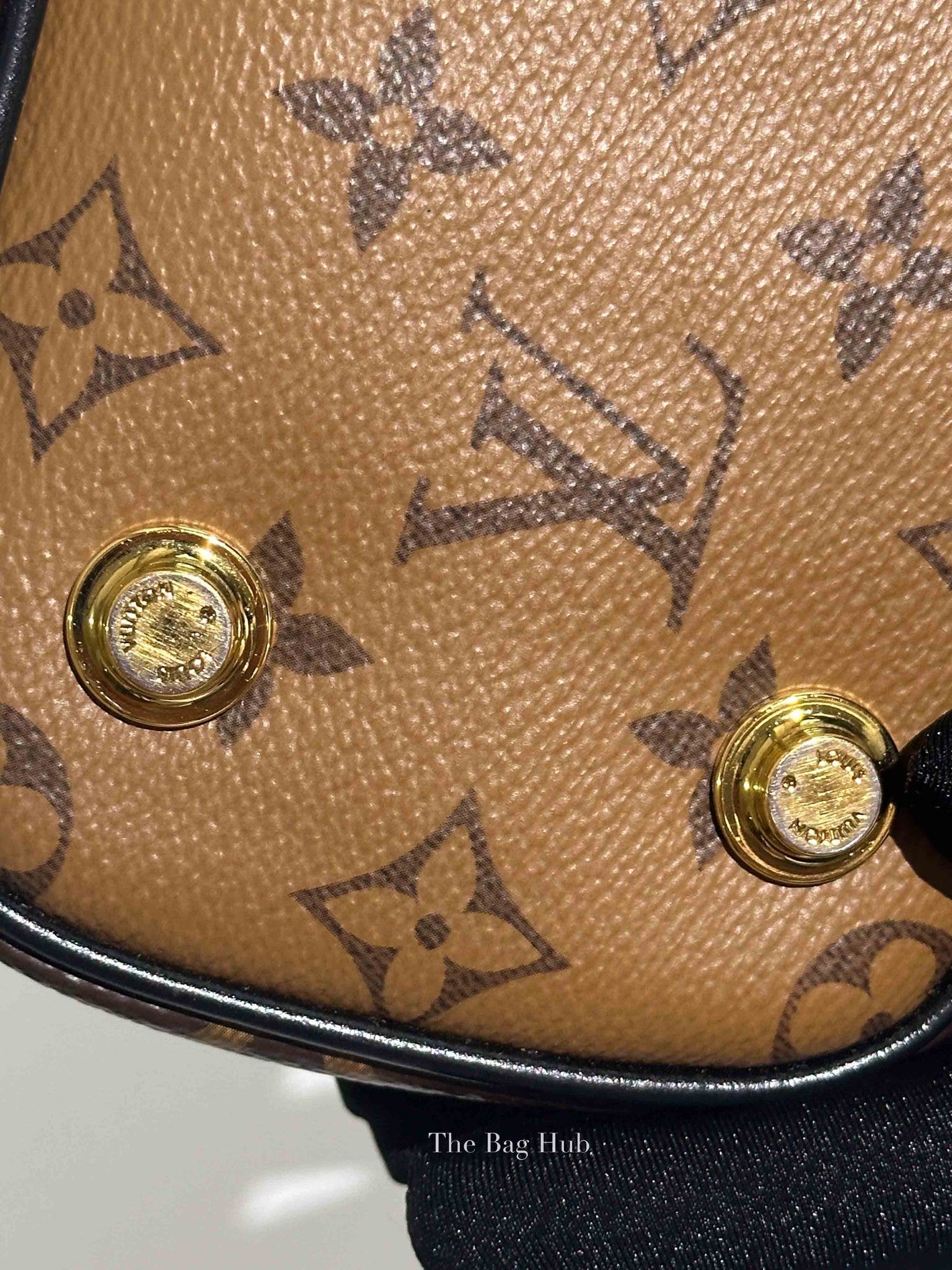 Louis Vuitton Reverse Monogram Vanity PM Bag