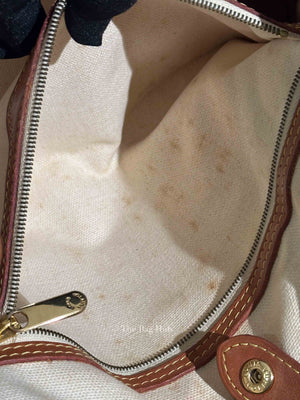 Louis Vuitton Monogram Tisse Rayures PM Tote Bag
