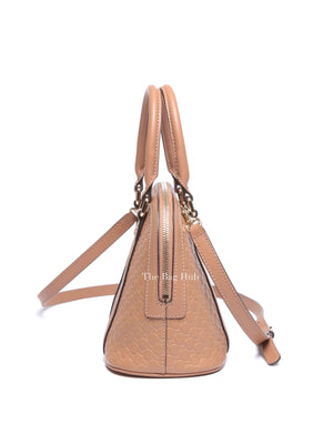 Gucci Camelia Leather Microguccissima Mini Dome Bag