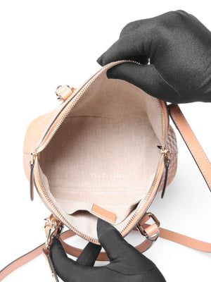 Gucci Camelia Leather Microguccissima Mini Dome Bag