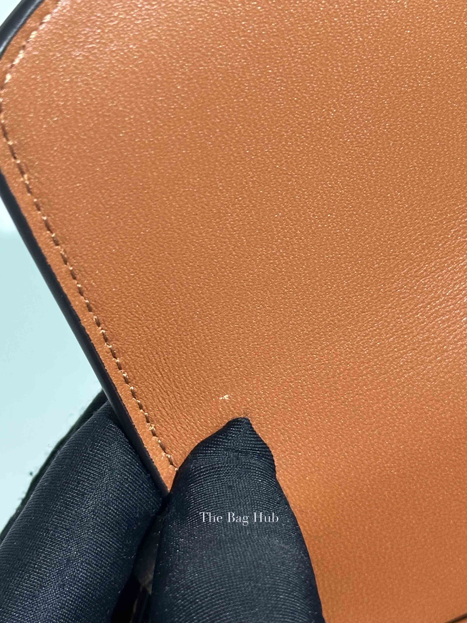 Celine Tan Canvas/Calfskin Teen Triomphe Shoulder Bag