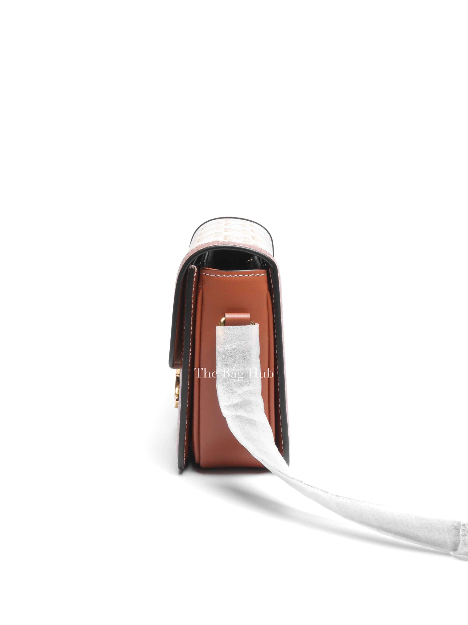 Celine White Canvas/Calfskin Teen Triomphe Crossbody Bag