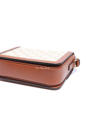 Celine White Canvas/Calfskin Teen Triomphe Crossbody Bag