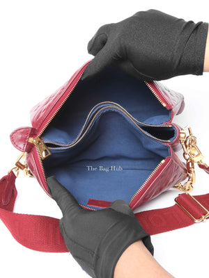 Louis Vuitton Wine Lambskin Embossed Monogram Coussin PM Bag