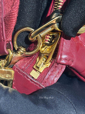 Louis Vuitton Wine Lambskin Embossed Monogram Coussin PM Bag