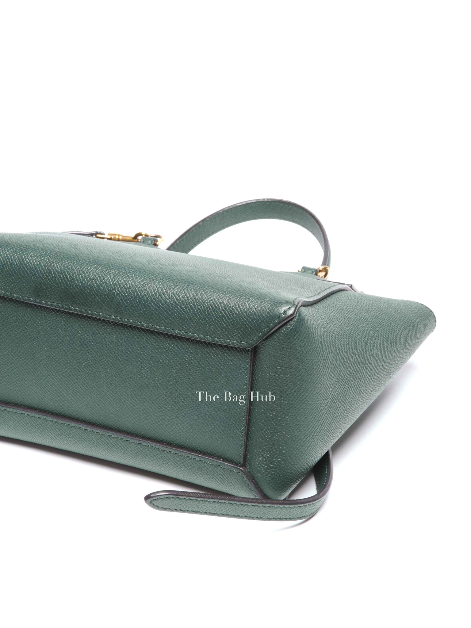 Celine Amazone Grained Leather Nano Belt Bag