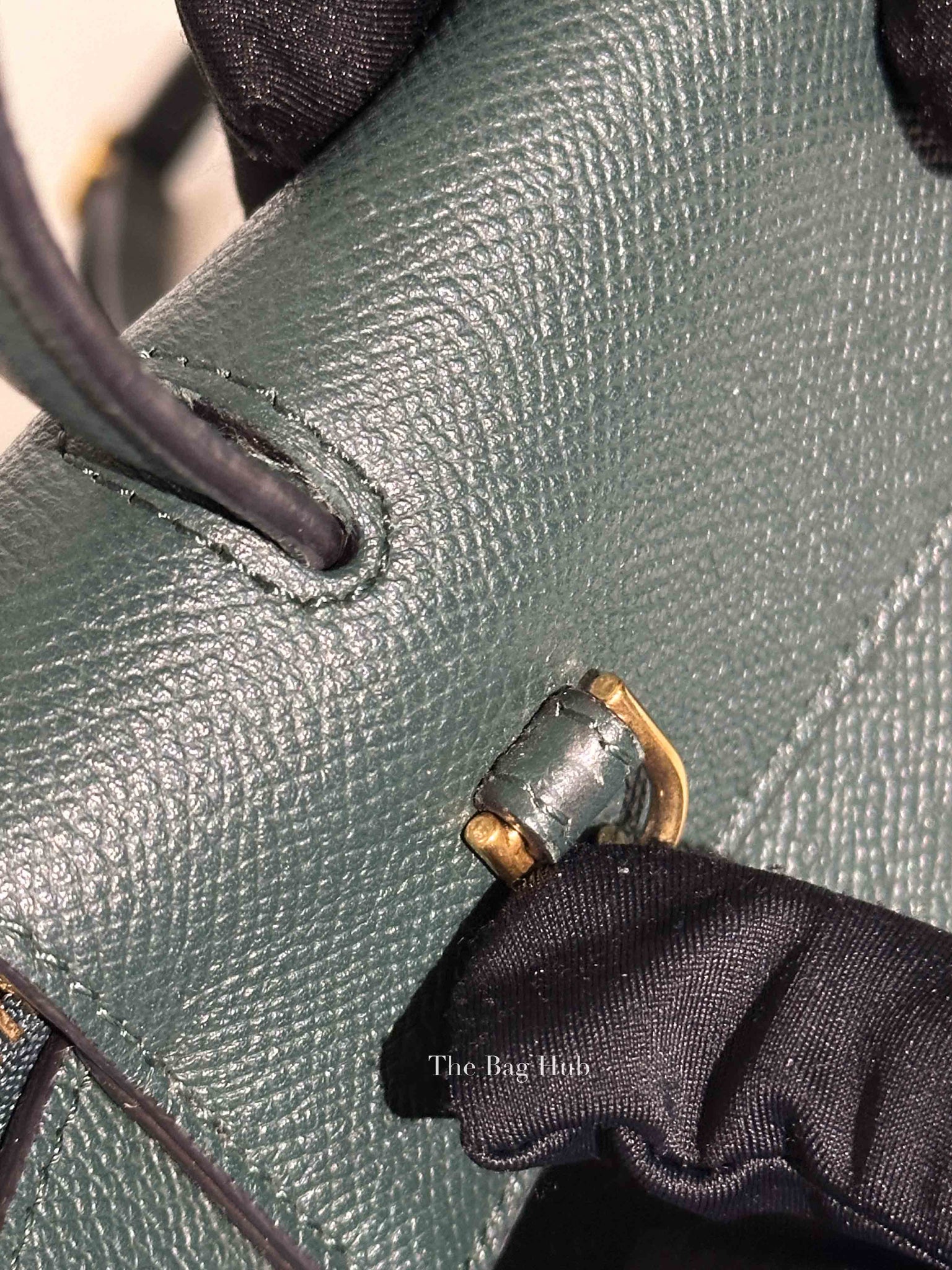 Celine Amazone Grained Leather Nano Belt Bag