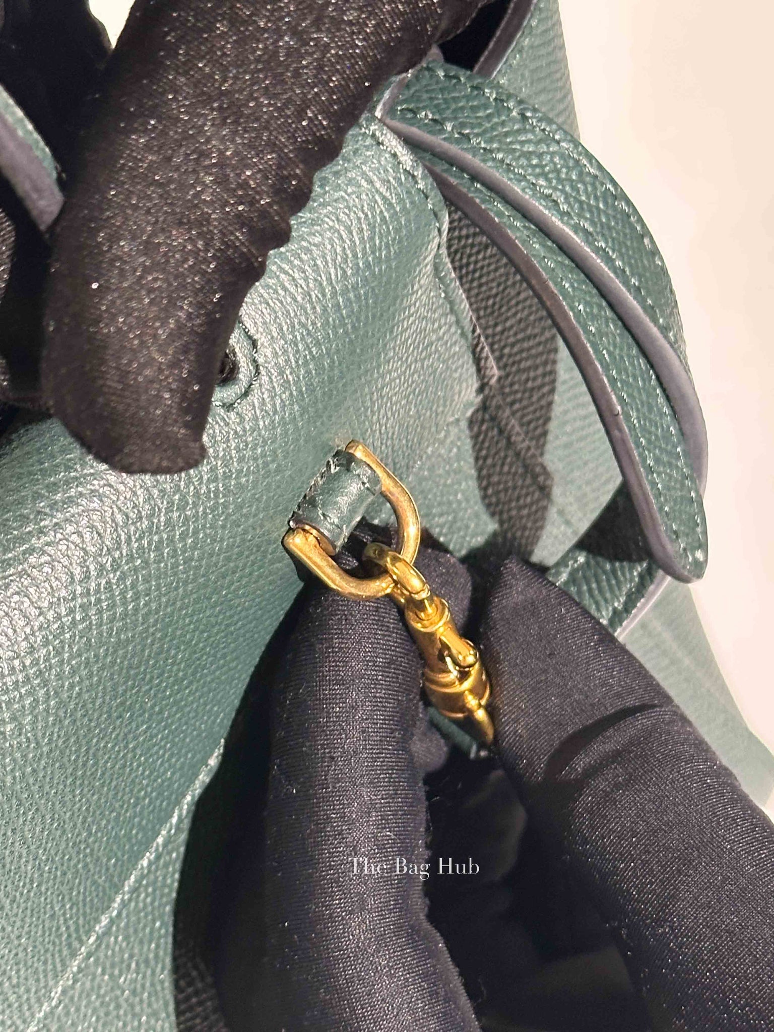 Celine Amazone Grained Leather Nano Belt Bag