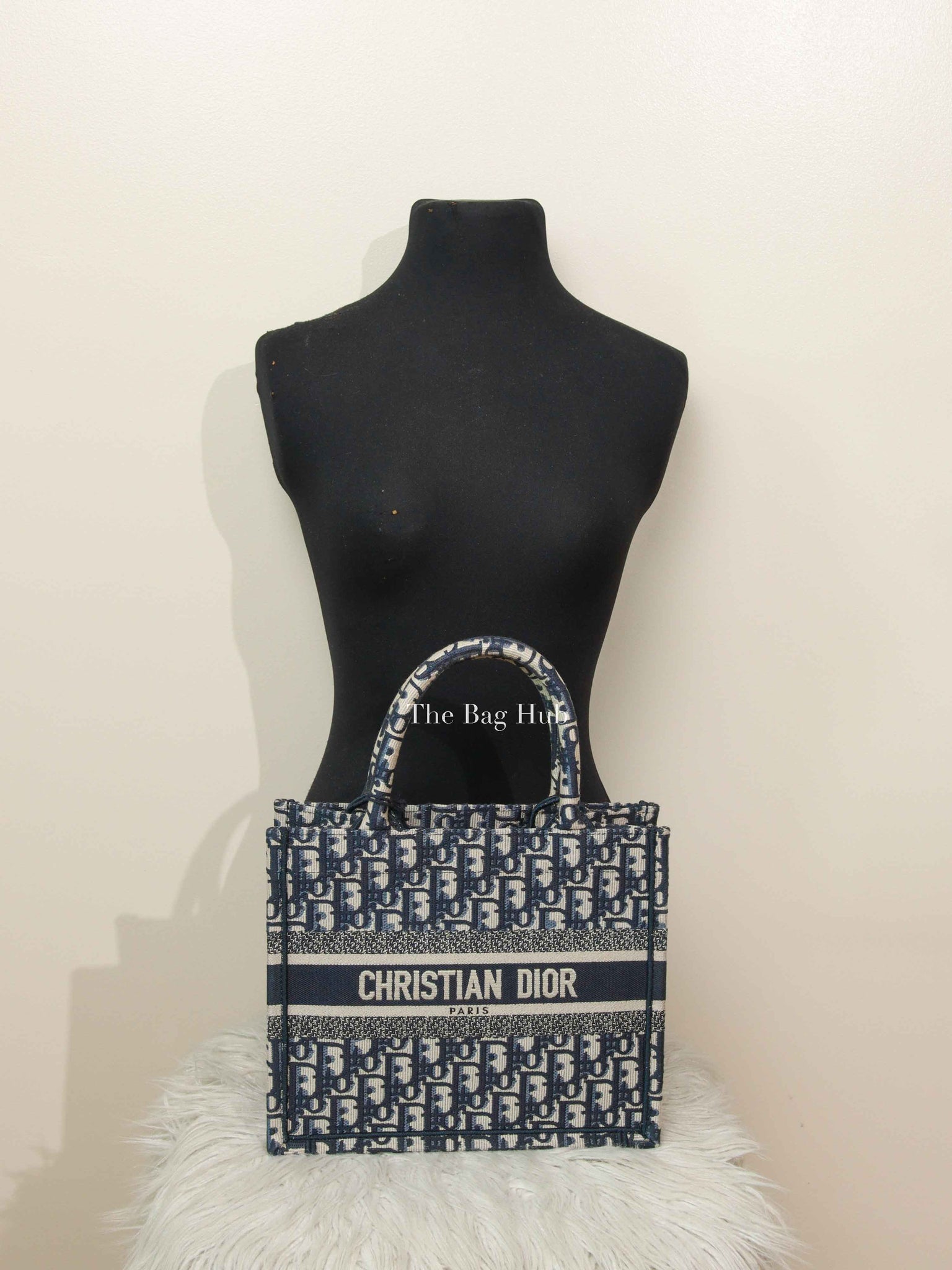 Dior Ecru and Blue Oblique Embroidery Small Book Tote Bag