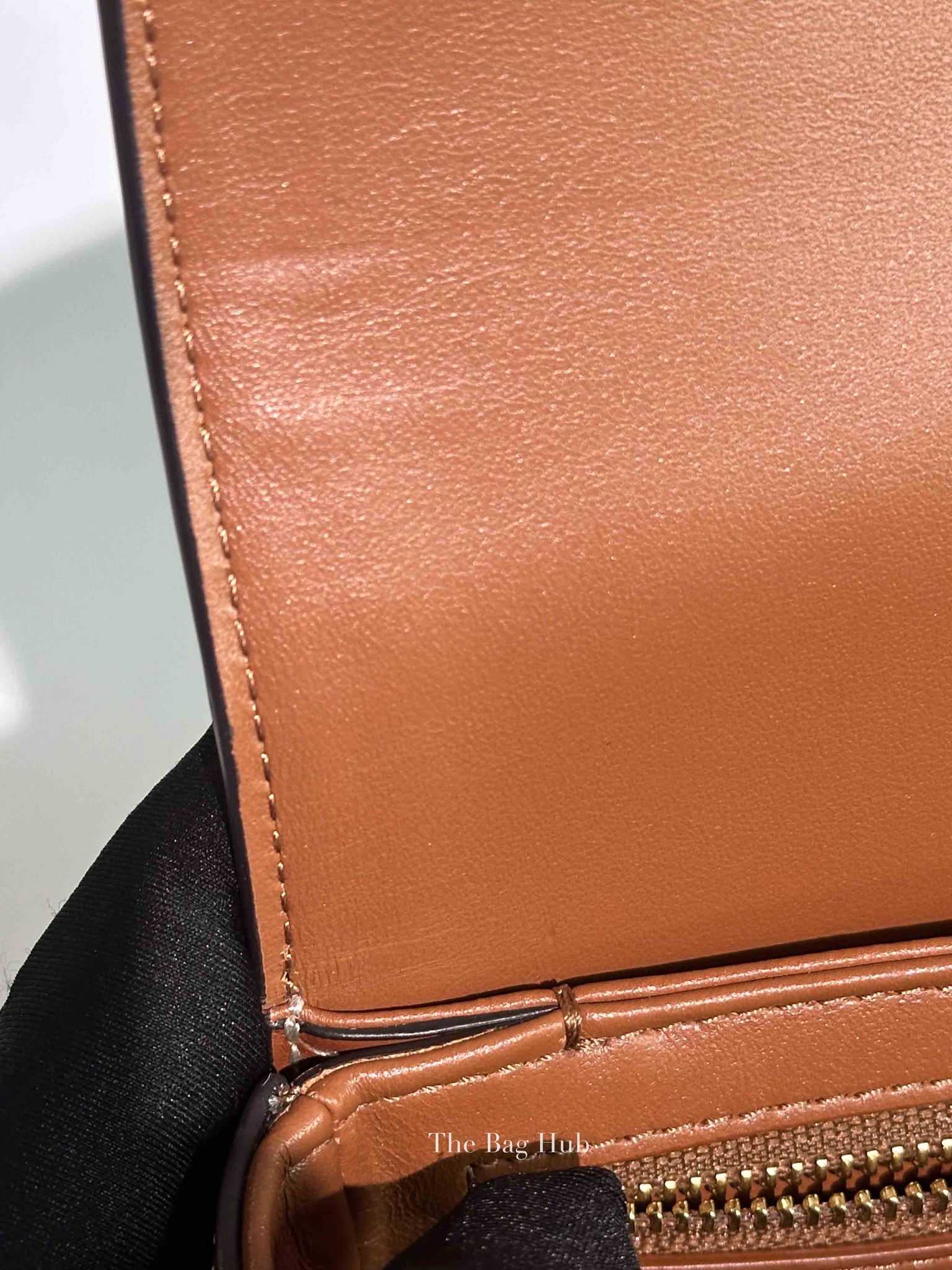 Celine Tan Canvas/Calfskin Teen Triomphe Shoulder Bag