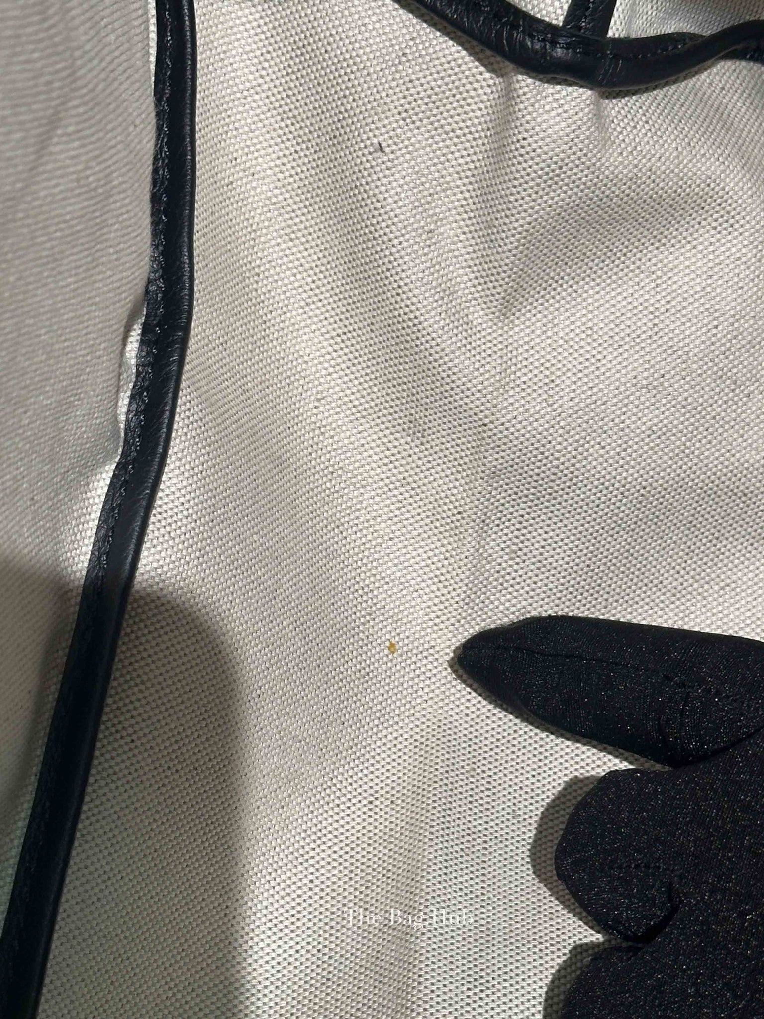 Goyard Black Canvas St. Louis PM Bag