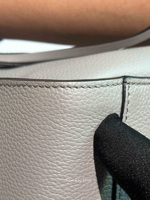 Loewe Gray Pearl Soft Grain Calfskin Compact Hammock Bag