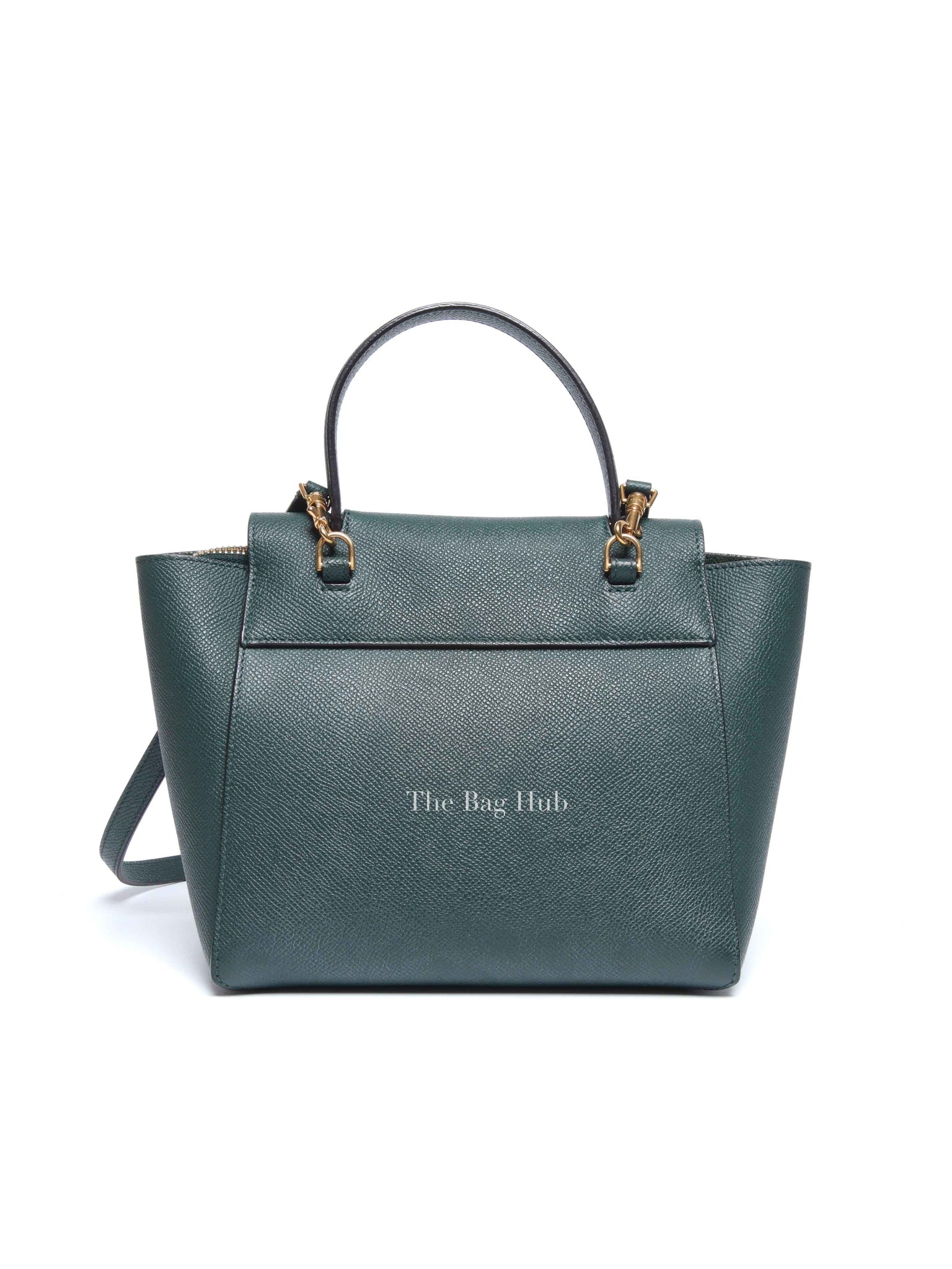 Celine Amazone Grained Calfskin Nano Belt Bag