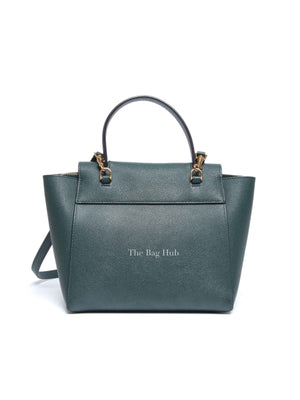 Celine Amazone Grained Calfskin Nano Belt Bag