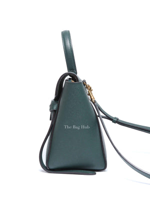 Celine Amazone Grained Calfskin Nano Belt Bag